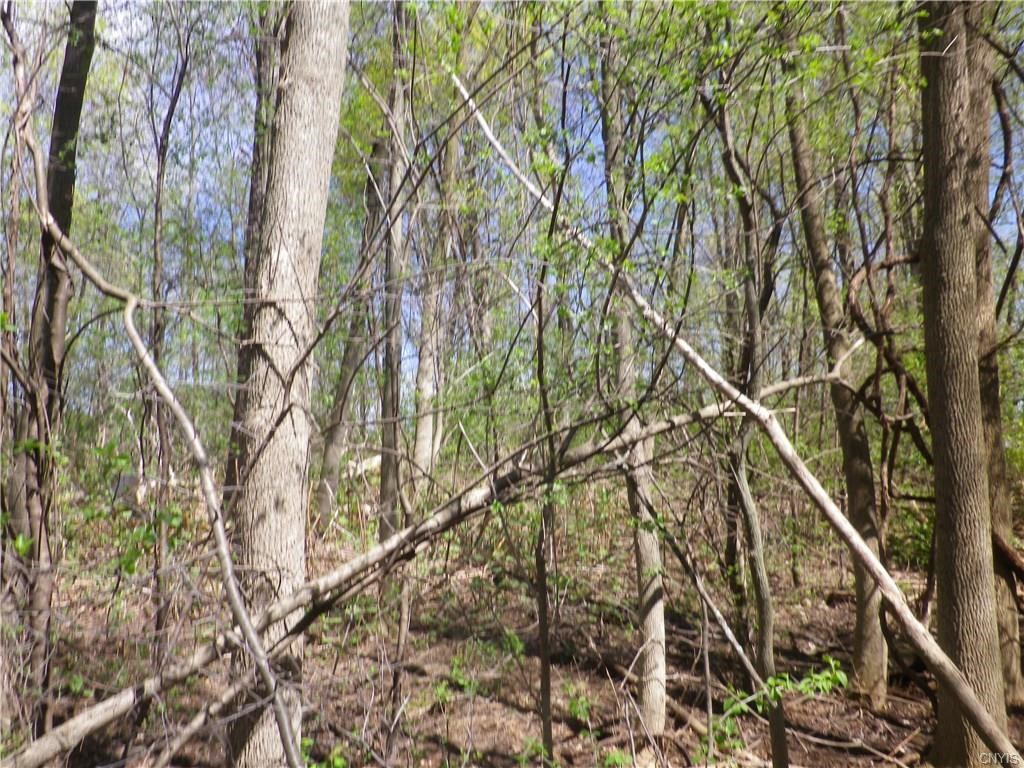 3071 Cold Springs RD, Lysander, NY 13027