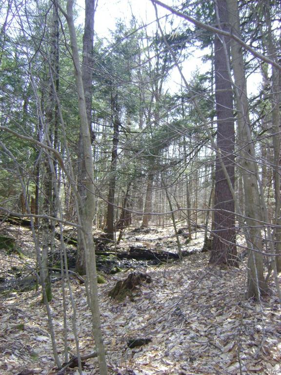 17 Fisherman S Bridge Road, Amboy, NY 13028