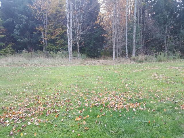 147 Dutcherville RdBernhards Bay, NY, 13028Oswego County