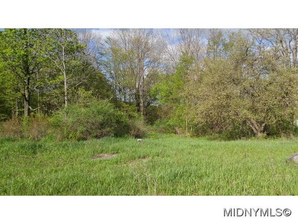 Canastota, NY 13032
