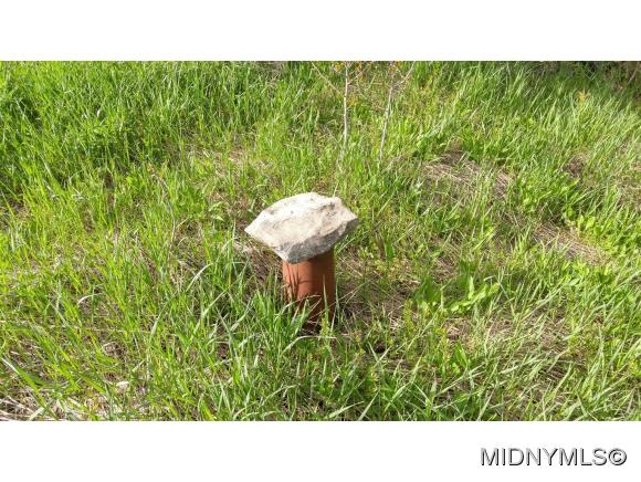 Canastota, NY 13032