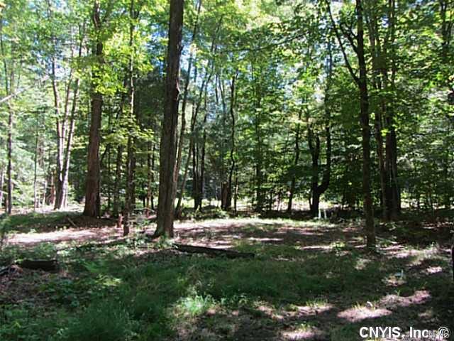 8338 Maple Flats Road, Vienna, NY 13042