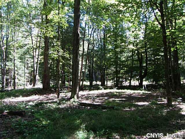 8338 Maple Flats Road, Vienna, NY 13042