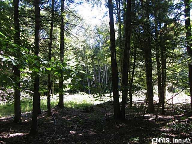 8338 Maple Flats Road, Vienna, NY 13042