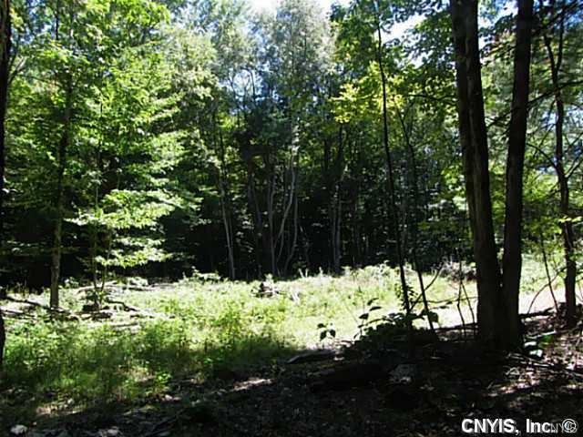 8338 Maple Flats Road, Vienna, NY 13042