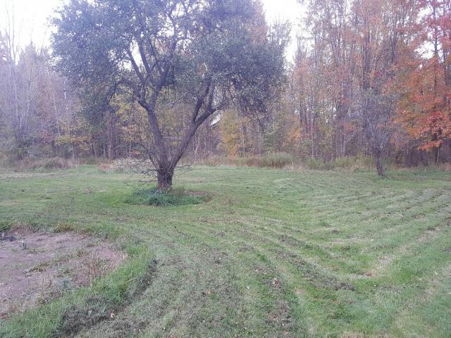 60 West StCleveland, NY, 13042Oswego County