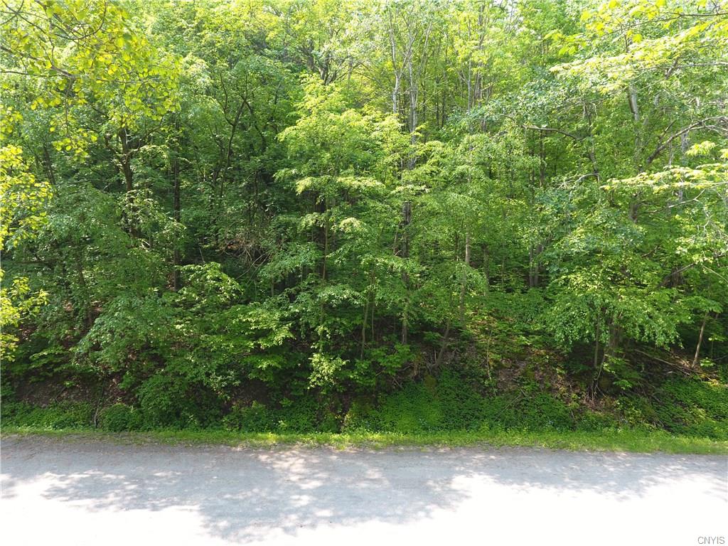 Lot 18 South Hill Road, Virgil, NY 13045