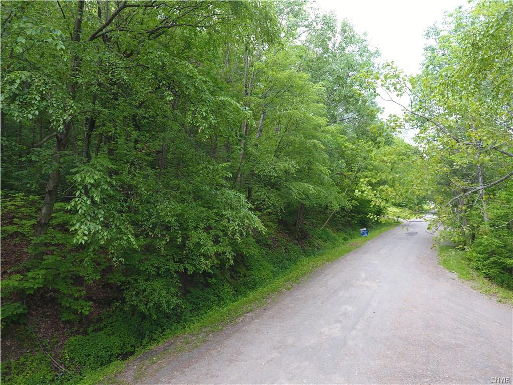 Lot 18 South Hill Road, Virgil, NY 13045