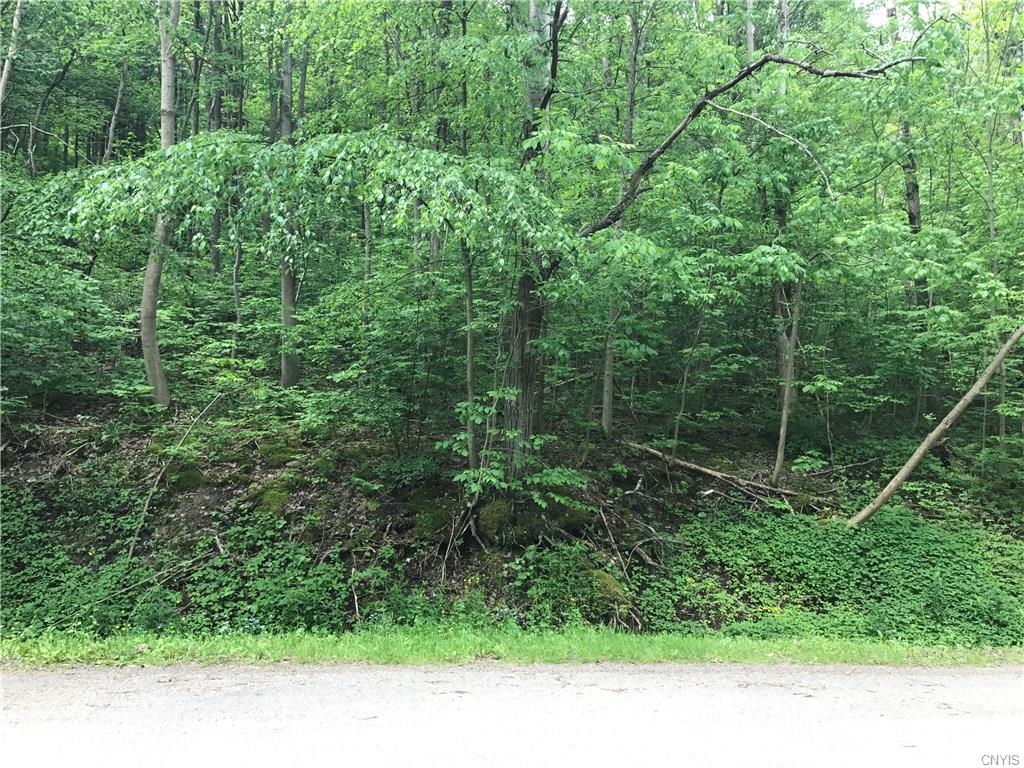 Lot 18 South Hill Road, Virgil, NY 13045