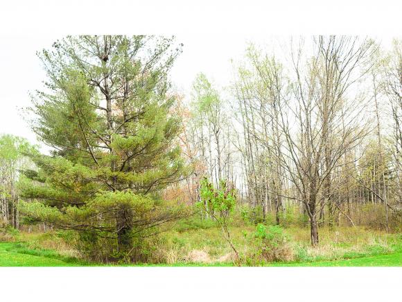 Lot B W Dryden Road, Dryden, NY 13068
