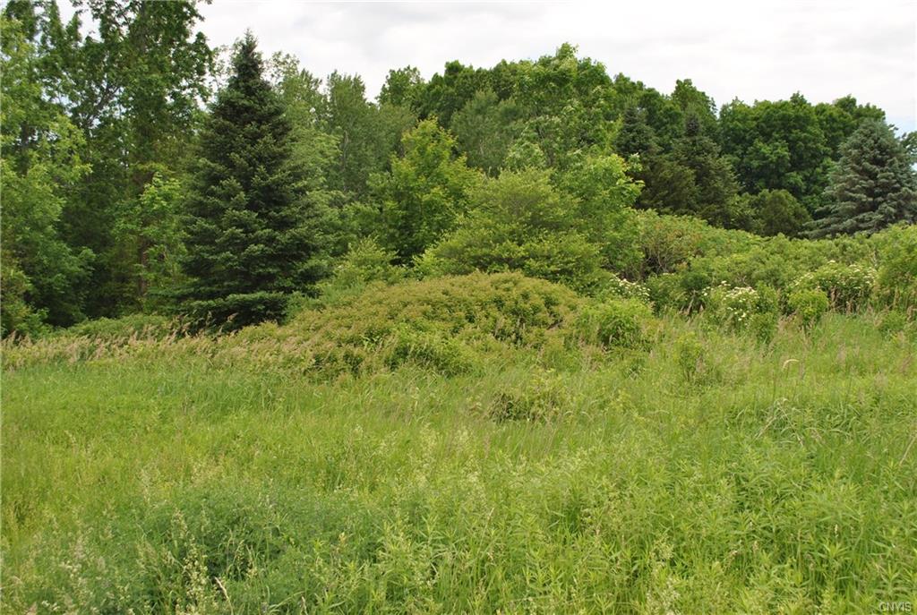 0 State Route 48, Granby, NY 13069