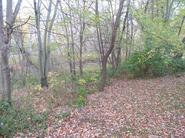 233 S 12th StFulton, NY, 13069Oswego County