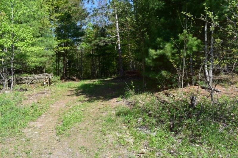 0 Hogs Back Road, Hastings, NY 13076