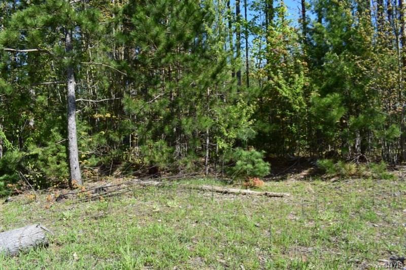 0 Hogs Back Road, Hastings, NY 13076
