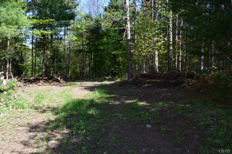 0 Hogs Back Road, Hastings, NY 13076