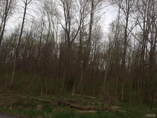 0 Stevens Road, Elbridge, NY 13080