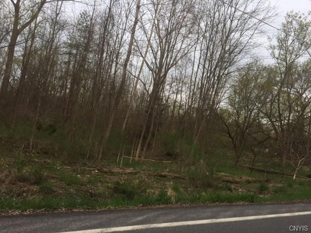 0 Stevens Road, Elbridge, NY 13080