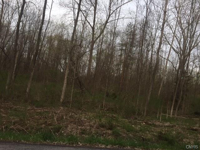 0 Stevens Road, Elbridge, NY 13080