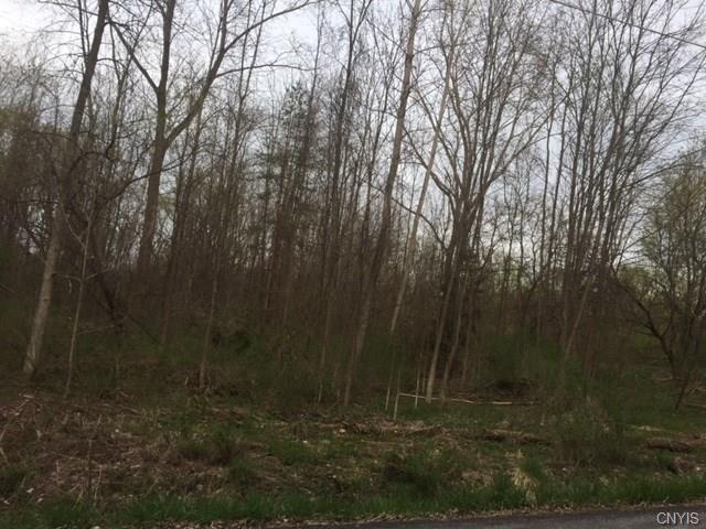 0 Stevens Road, Elbridge, NY 13080