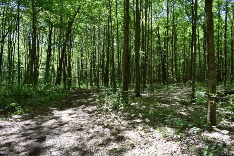 000 Apache Springs Road, Boylston, NY 13083