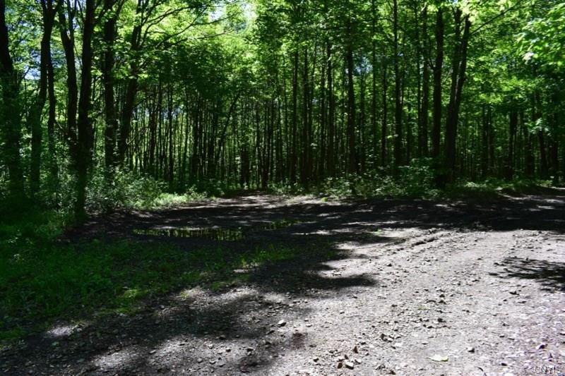 000 Apache Springs Road, Boylston, NY 13083