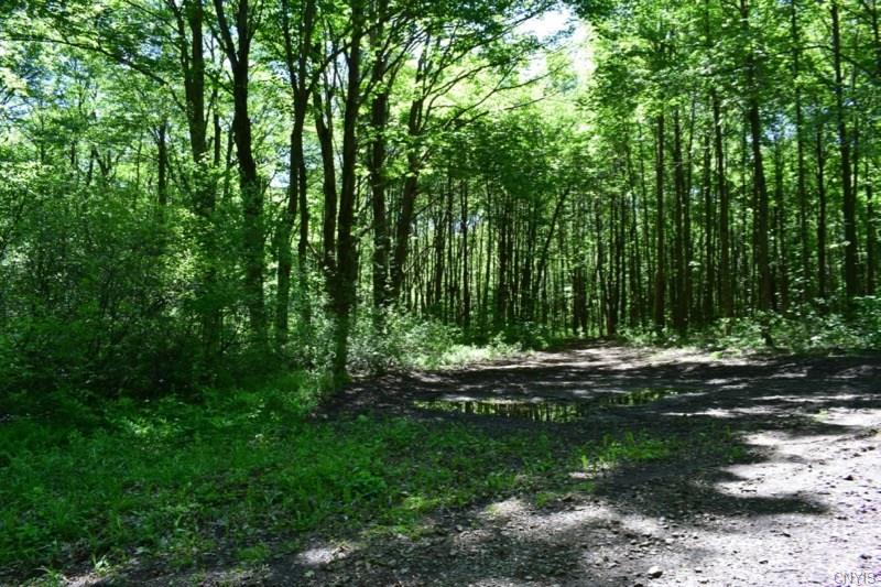 000 Apache Springs Road, Boylston, NY 13083