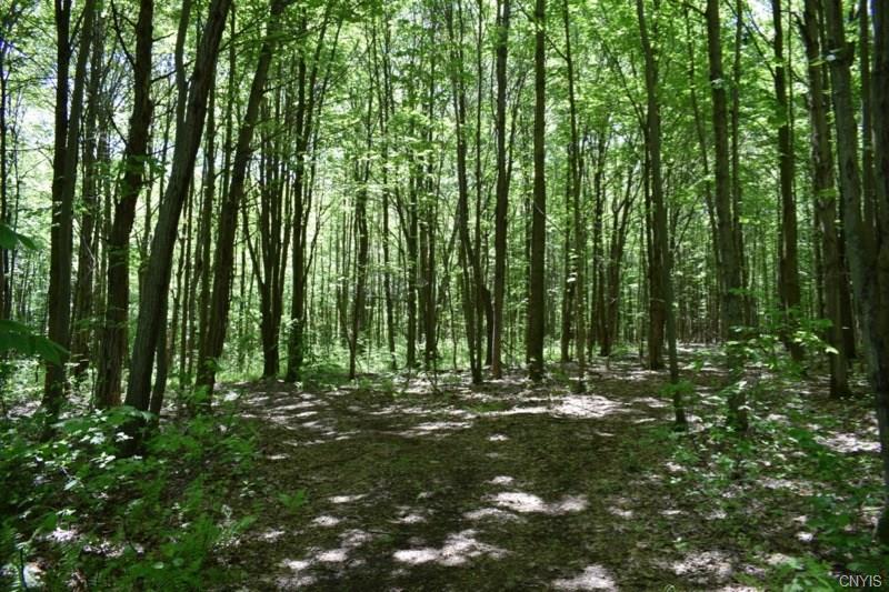 000 Apache Springs Road, Boylston, NY 13083