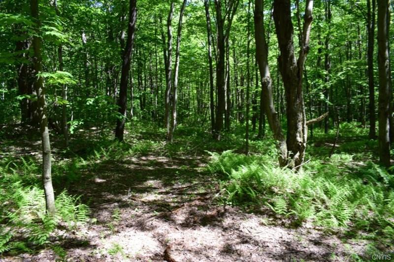 000 Apache Springs Road, Boylston, NY 13083