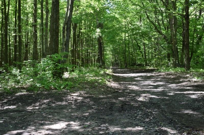 000 Apache Springs Road, Boylston, NY 13083