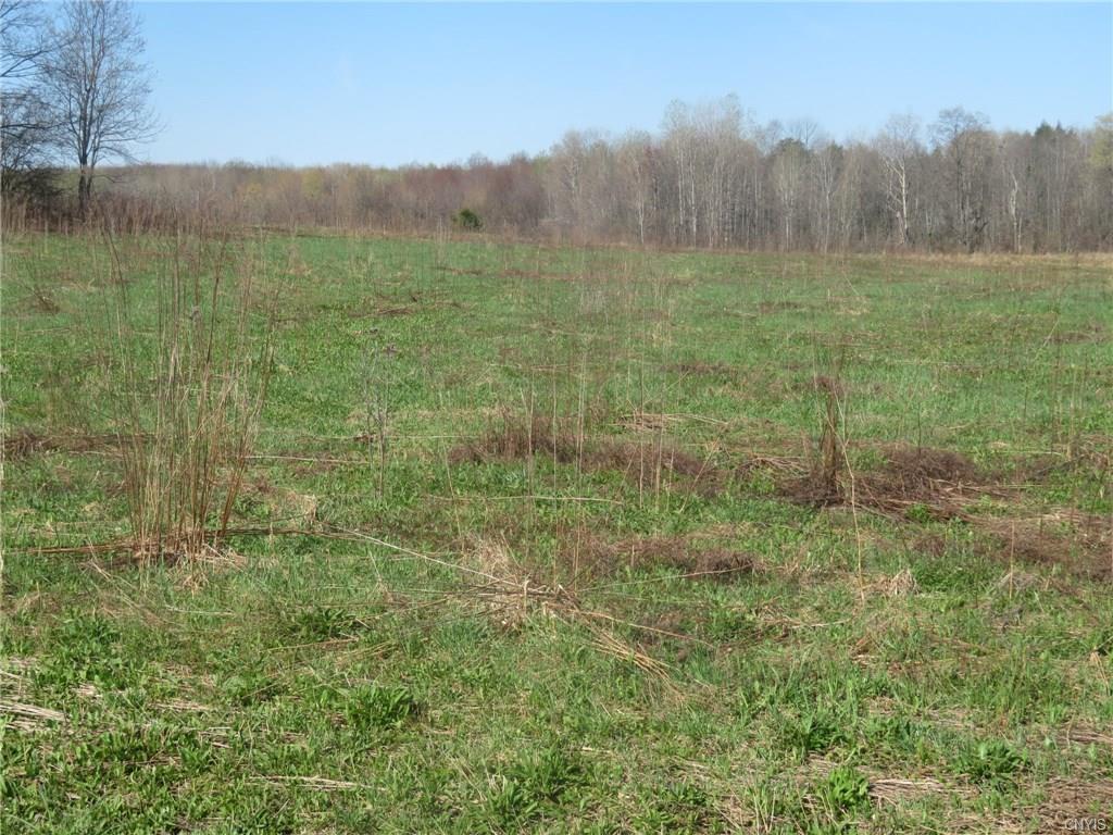 675 Dresser Road, Summerhill, NY 13092