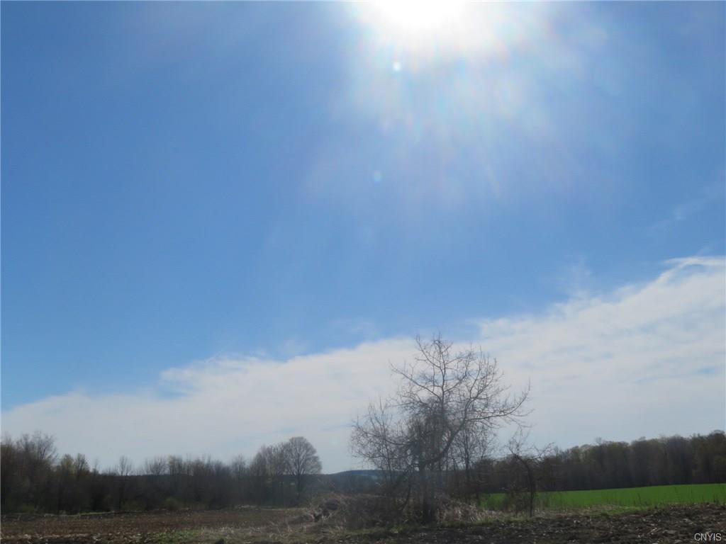 675 Dresser Road, Summerhill, NY 13092