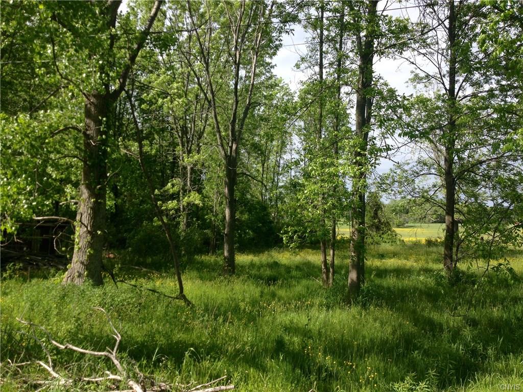 239 Leavitt Road, New Haven, NY 13126