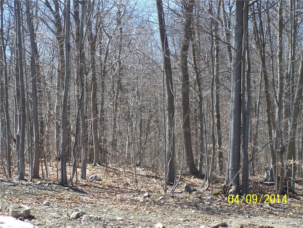 00 Upton Road, Sandy Creek, NY 13145