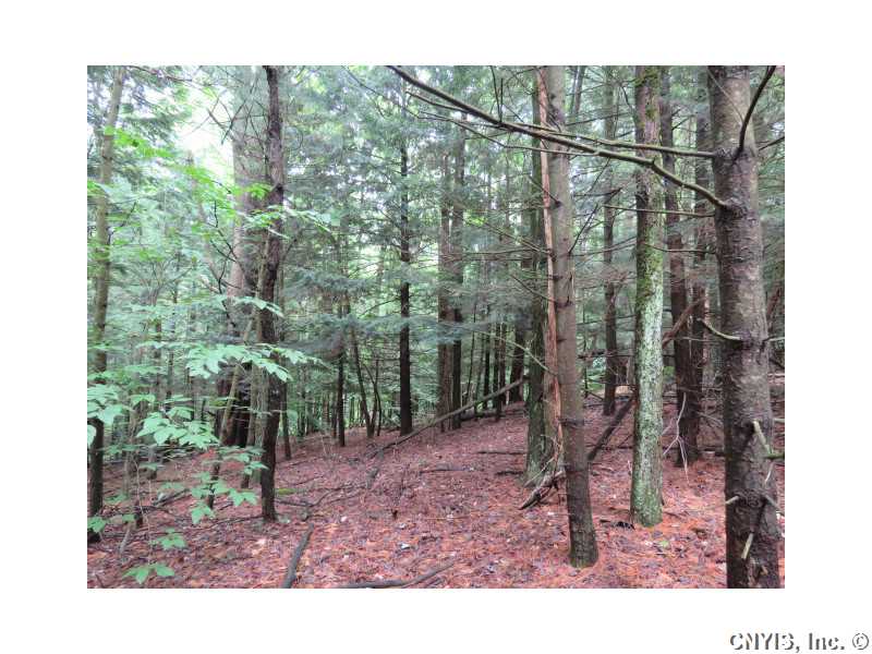 0 Co Rt 26, West Monroe, NY 13167