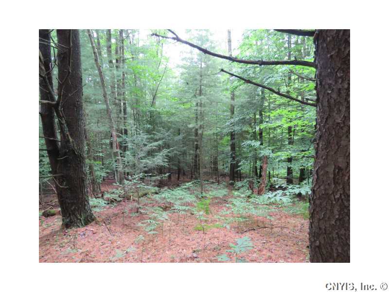 0 Co Rt 26, West Monroe, NY 13167