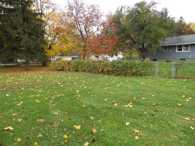108 Westfall StreetSyracuse, NY, 13209Onondaga County
