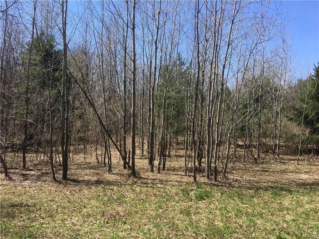 0 State Route 104, Albion, NY 13302