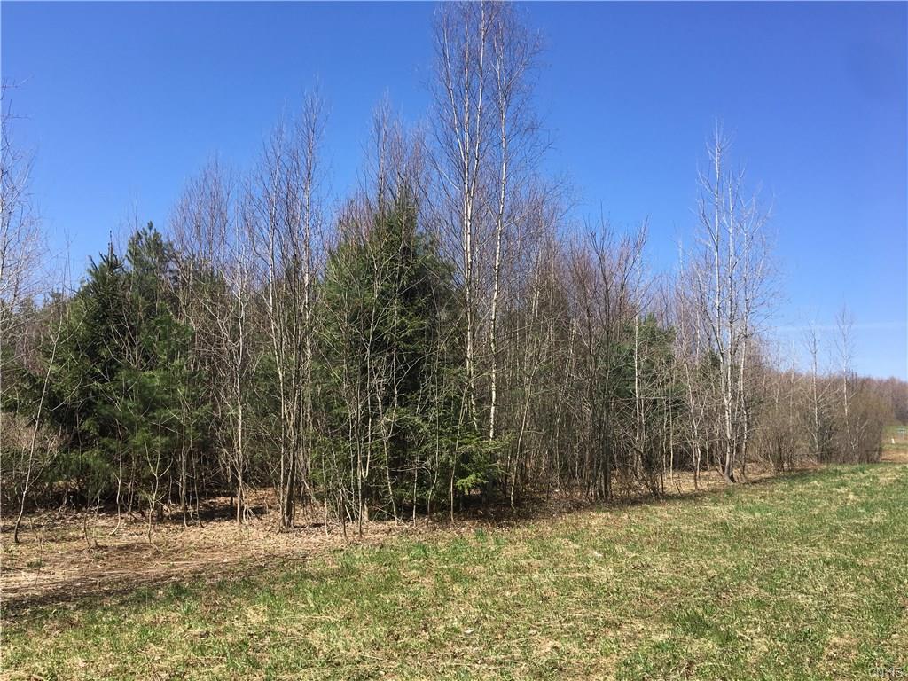 0 State Route 104, Albion, NY 13302