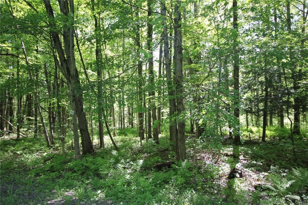 000 Vary RD, Ava, NY 13303