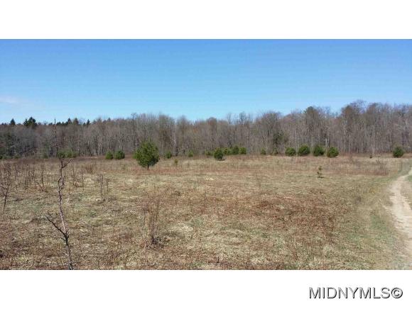 Thompson Corners - Fawn Meadow Ln, Florence, NY 13316