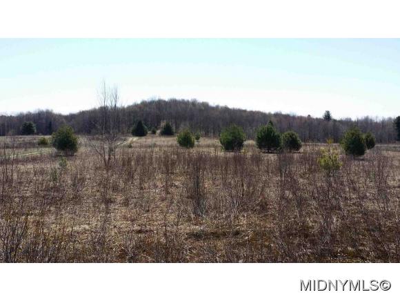 Thompson Corners - Fawn Meadow Ln, Florence, NY 13316