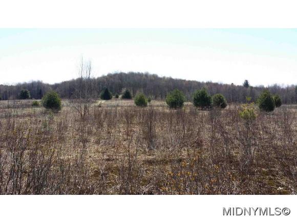 Thompson Corners - Fawn Meadow Ln, Florence, NY 13316
