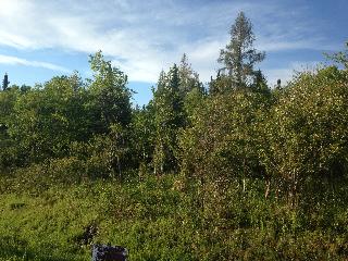 Route 8,, Morehouse, NY 13324