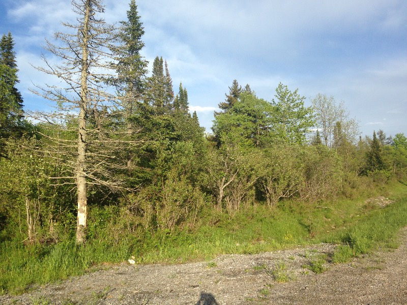 Nys Rte 8, Morehouse, NY 13324