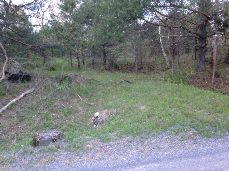Fisher Rd, Russia, NY 13324