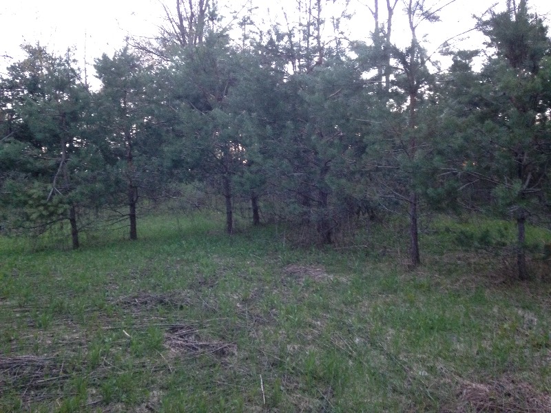 Fisher Rd, Russia, NY 13324
