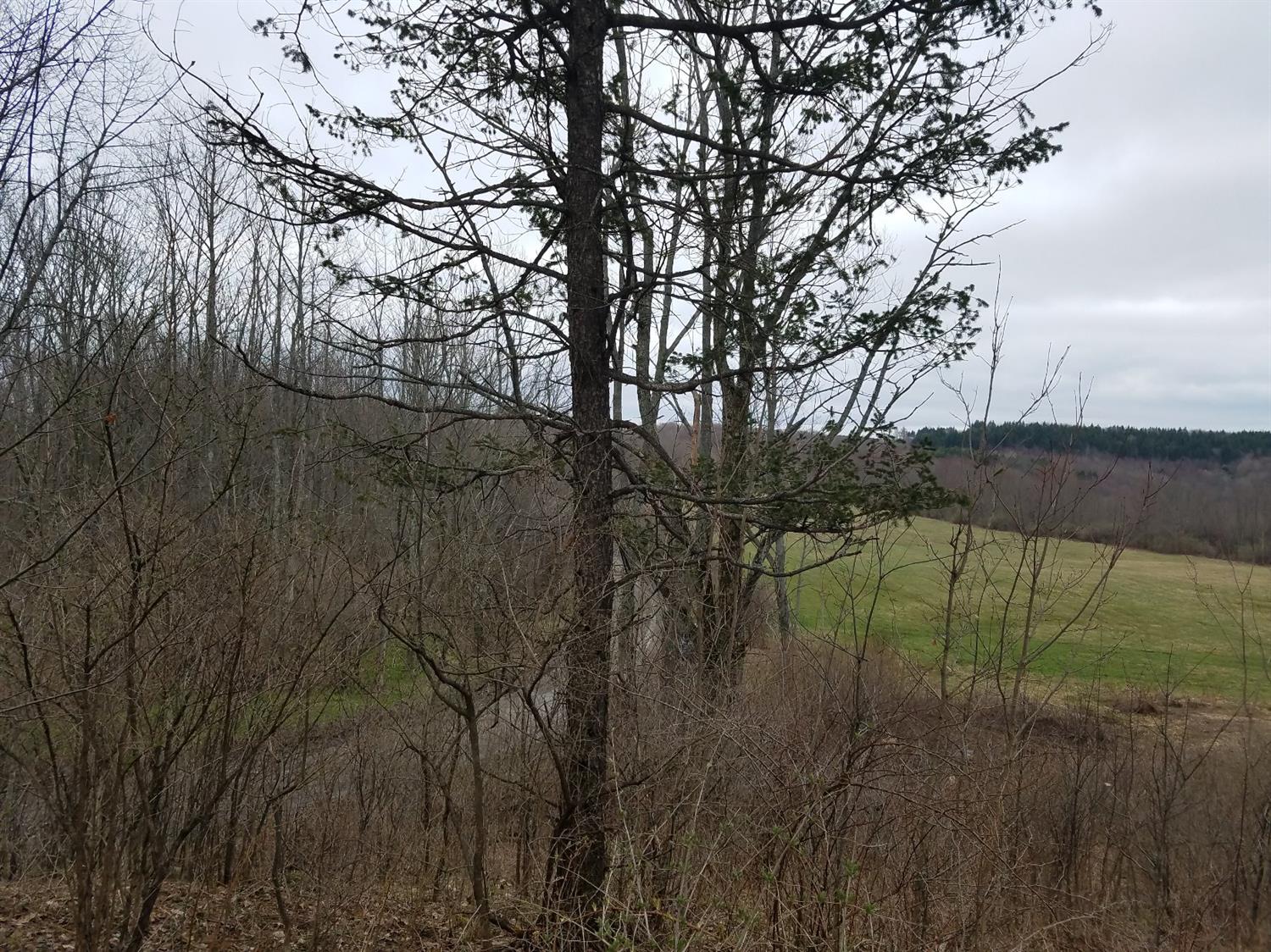 0 Keys Rd, Otsego, NY 13326
