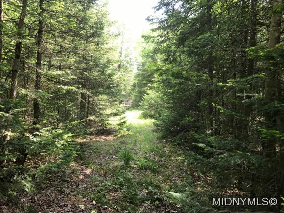 188 Little Beaver Lake Rd., Forestport, NY 13338