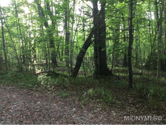 200 Little Beaver Lake Rd. East, Forestport, NY 13338