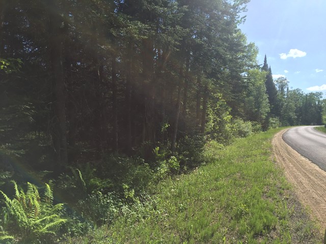 Lot #2 Bellingertown Rd, Forestport, NY 13338